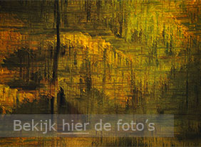 Veramelpagina ME ICM herfst